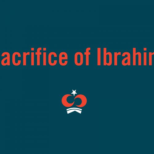 Watch the Story of Qurbani