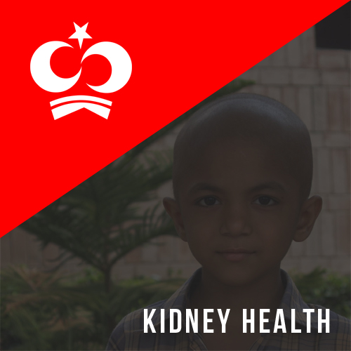 Kidney Health for Everyone Everywhere