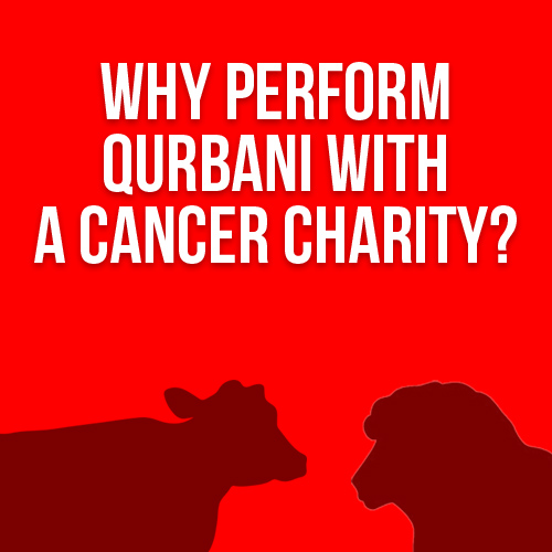 Qurbani with IKCA. Qurbani with Confidence