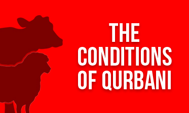 The Conditions of Qurbani (FAQs) - Is your Qurbani Shariah compliant?