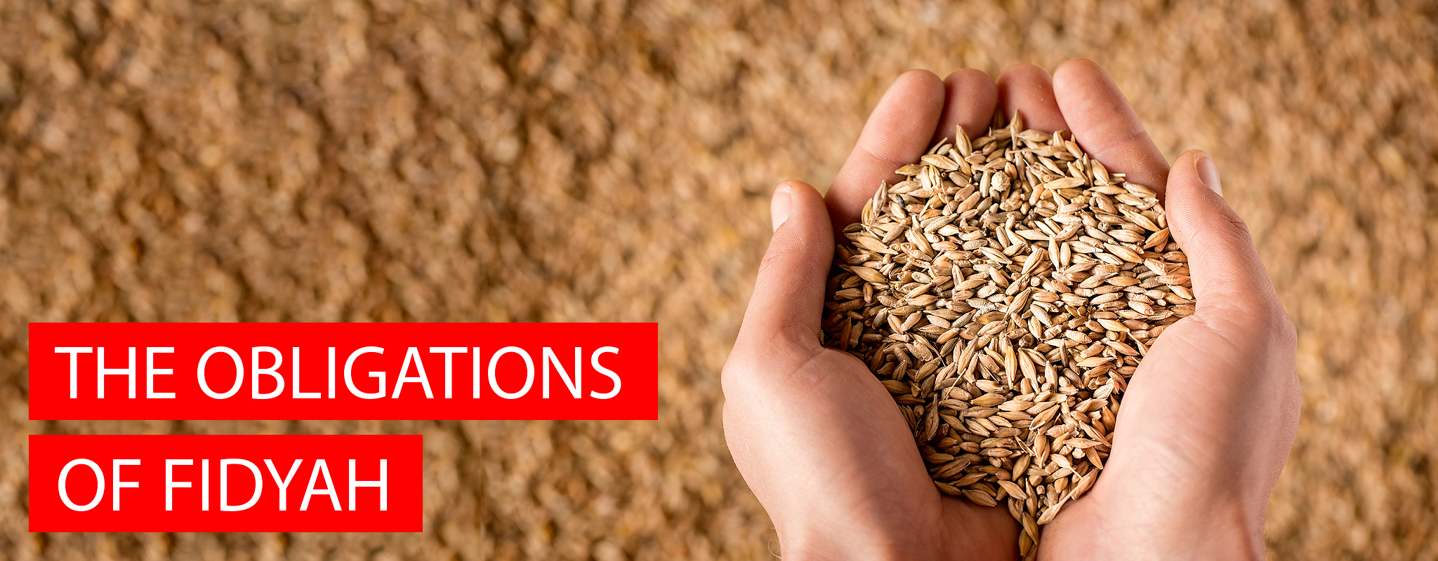 Pay Fidyah Online Rate Of Fidyah In 2020 Ikca