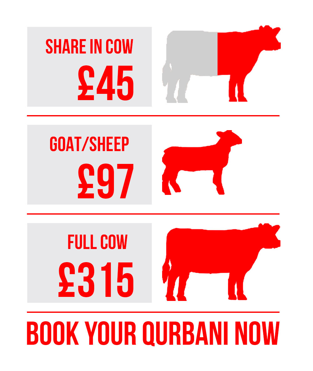 Qurbani Prices